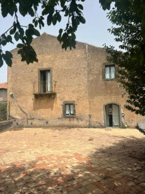 La vigna di Maggi